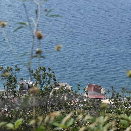 Casa Vacanze Luna Lejlighed Letojanni Eksteriør billede
